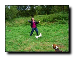 [Zvetsit]