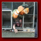 [Klik pro zv�t�en� troubo]